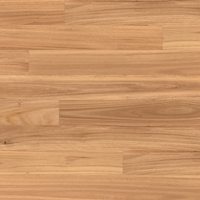 Australian-Native-Square-Swatch-Blackbutt copy