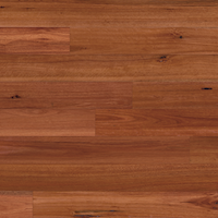 Australian-Native-Square-Swatch-Sydney-Blue-Gum copy