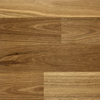 Australian-Native-Tallowwood-Swatch-Square-1536x1536